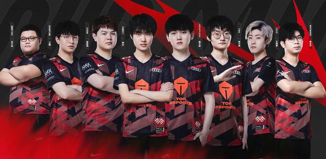 的指导下 的指导下